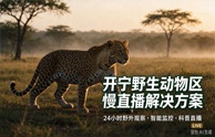 开宁野生动物园慢直播解决方案