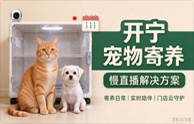 开宁宠物寄养慢直播解决方案