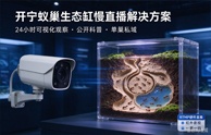 开宁蚁巢生态缸慢直播解决方案