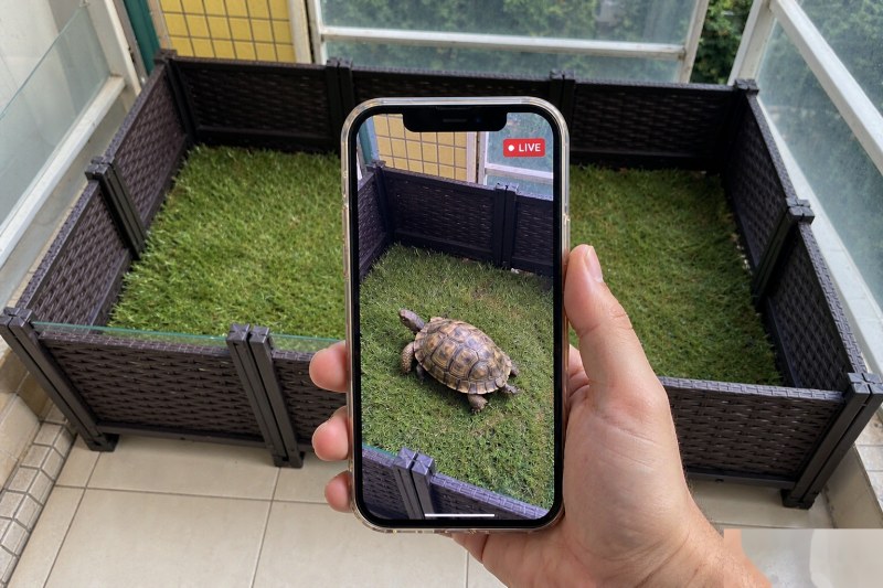 开宁陆龟繁育馆慢直播手机扫码观看效果：客户手机扫码观看指定孵化箱或幼龟培育箱的专属直播画面